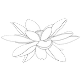 Daydreamer Apothecary