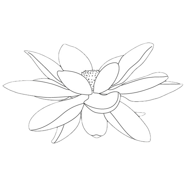 Daydreamer Apothecary